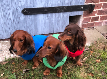 Bodywärmer Fleece - verschiedene Farben